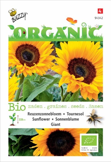Sunflower Giganteus BIO (Helianthus) 60 seeds BU